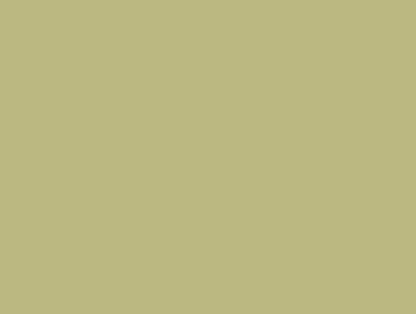 Diamanti DMC n°3013 (Resina Verde)