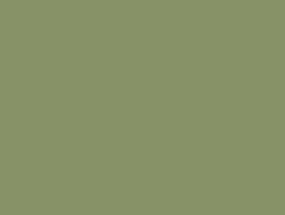 Diamanti DMC n°3052 (verde cenere)