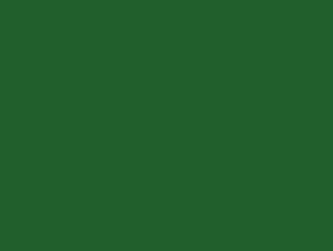 Diamants DMC n°319 (Ombre verte)