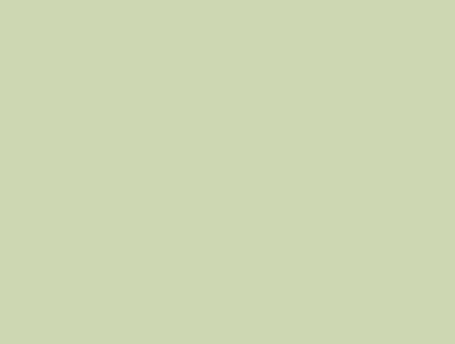 Diamanti DMC n°3348 (Cuore verde della lattuga)