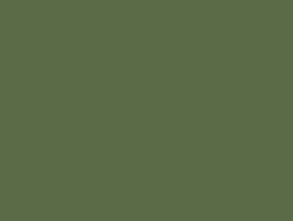 Diamanti DMC n°3362 (verde fico)