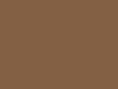 Drills DMC n°869 (Coffee)