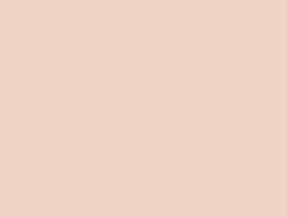 Drills DMC n°950 (Dark Beige)