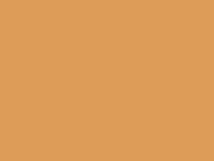 Drills DMC n°977 (Caramel)