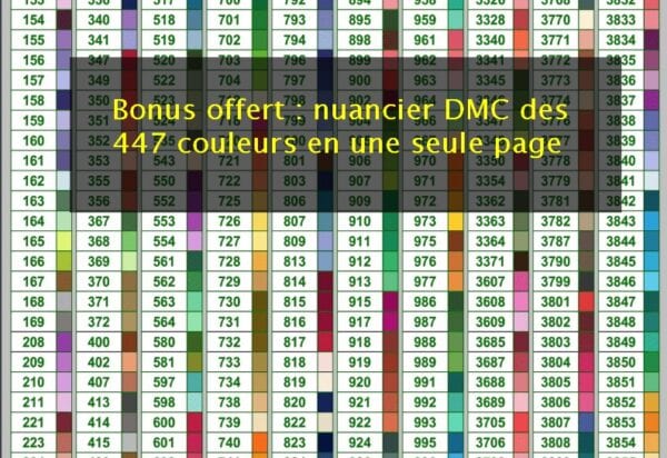 Nuancier DMC 447 couleurs offert